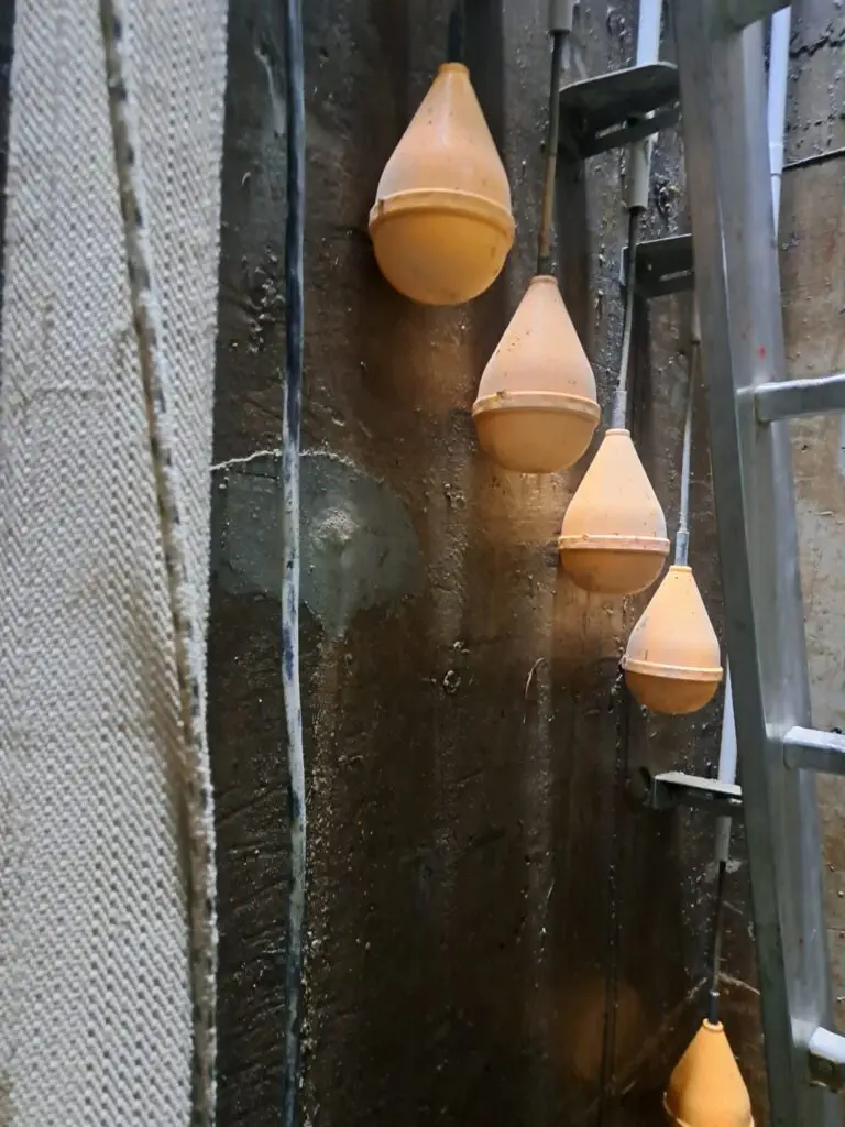 Podvoznjak Beli Manastir